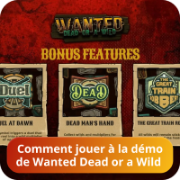 Jeu Wanted Dead or a Wild demo